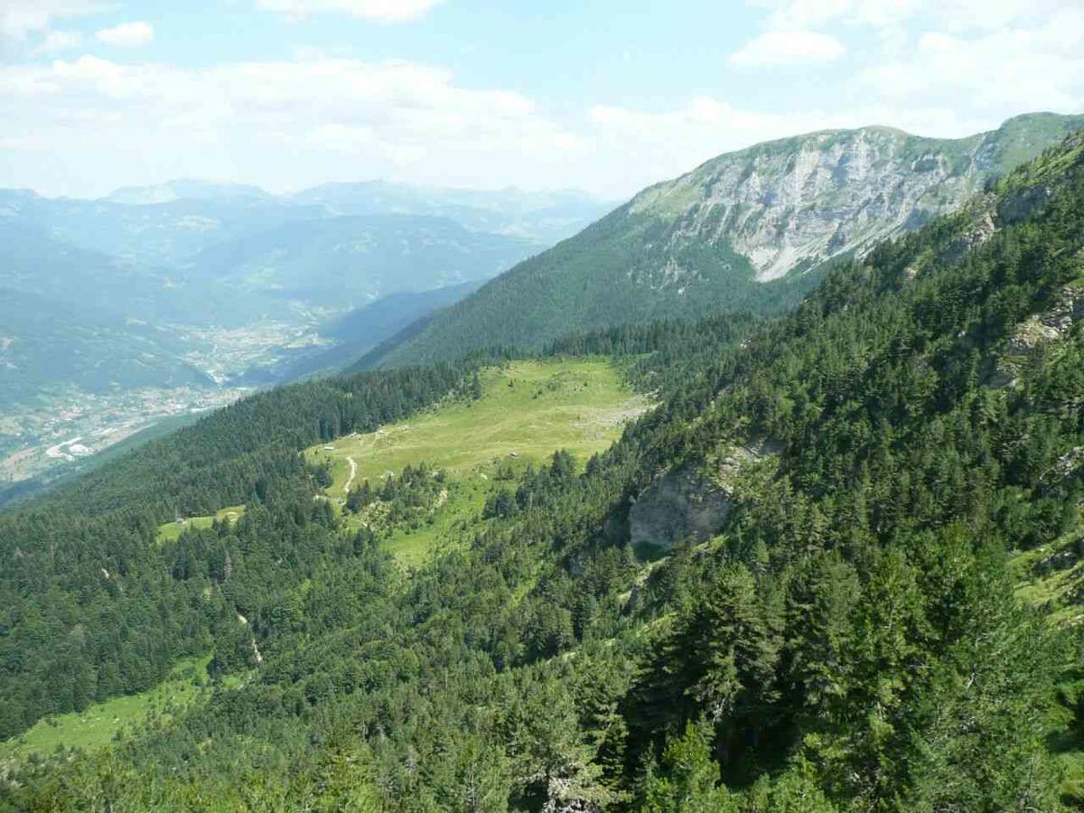 Vuceljic Rooms Andrijevica Exteriér fotografie